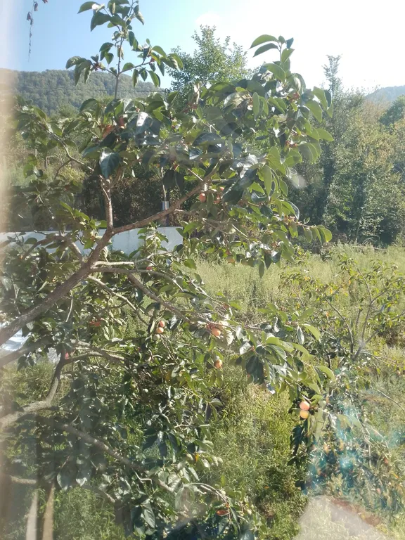 Новый дом в заповедных горах Лоо