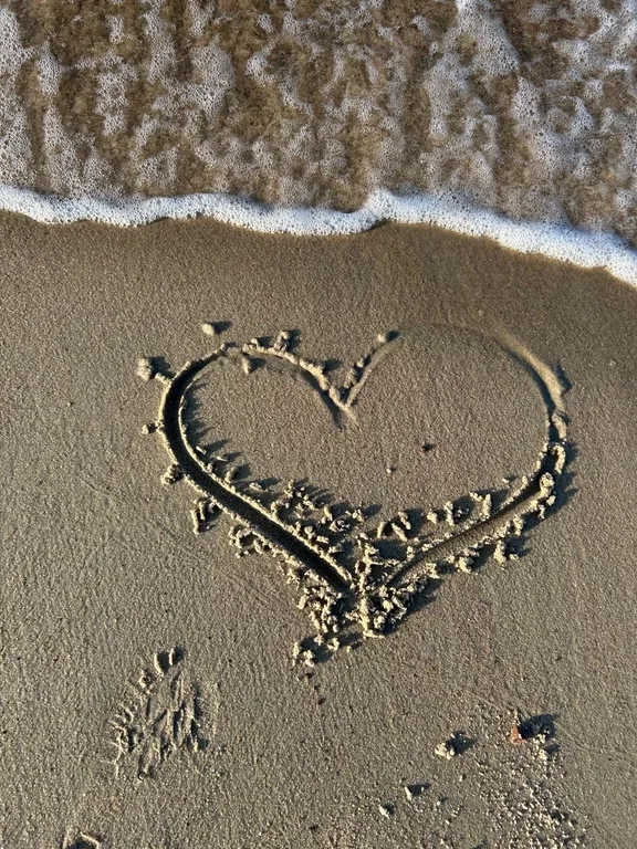 Квартира Уютная квартира в тихом районе Светлогорска — Светлогорск