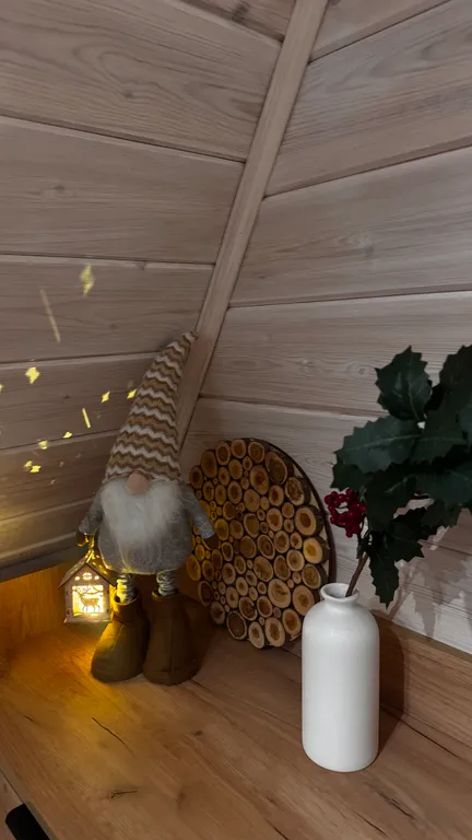 Афрейм на берегу озера Селигер с банным чаном