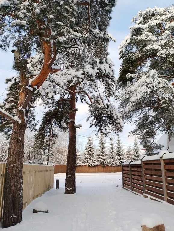 Уютный Дом с Камином в сосновом лесу 15 мин от Твери и 50 мин от МКАДа