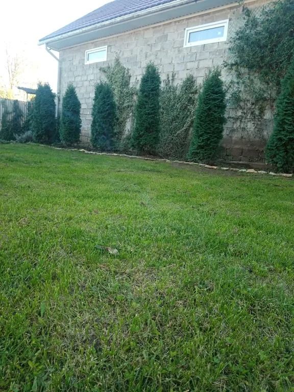 Уютный гостевой дом Оштен