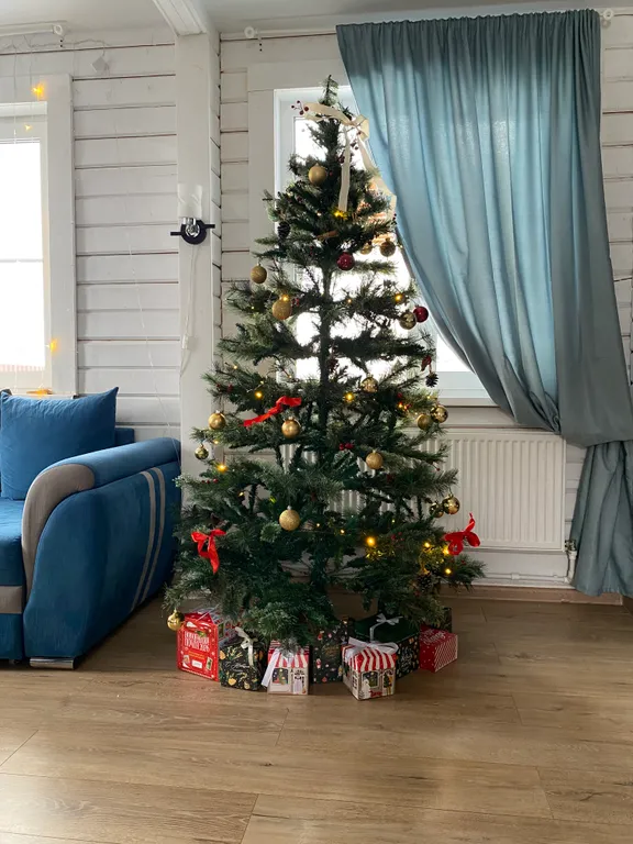 Дом для дружной компании