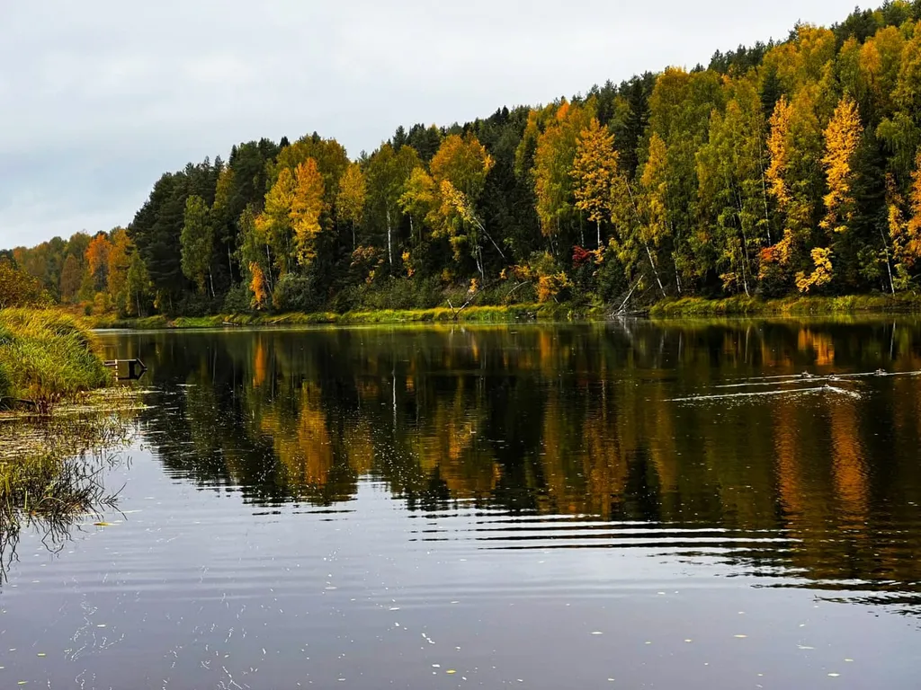 Коттедж Дом на берегу реки — аренда посуточно в Петрозаводск