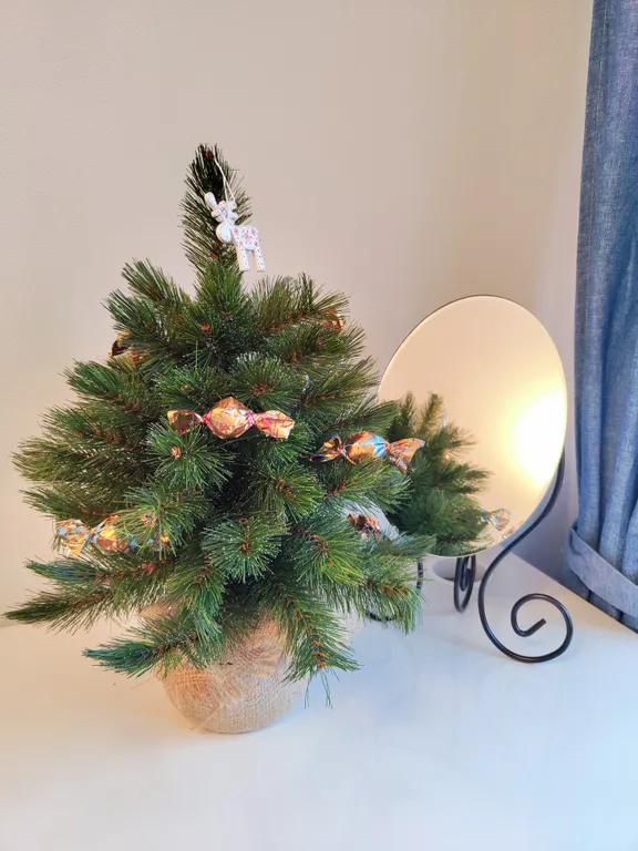 Удобная студия в историческом центре Петрозаводска