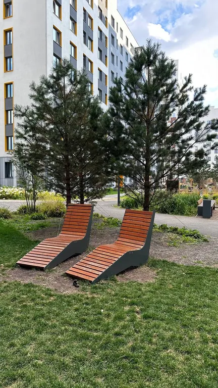 Студия чемпионов