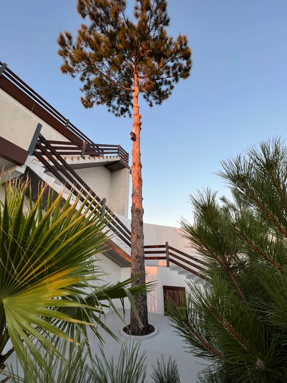 Gide villa посреди леса с видом на море