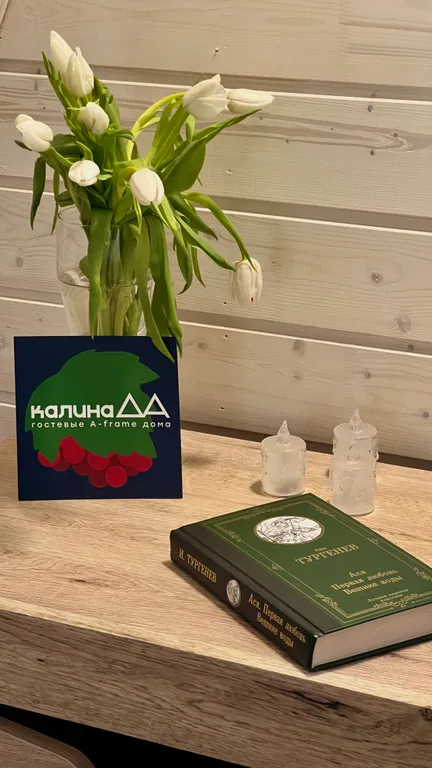 Уютнейший A-frame с сауной Черника