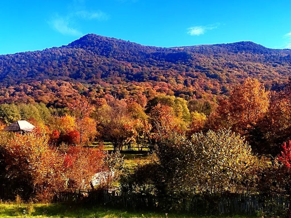Эко-дом с видом на лес и горы