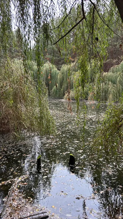 Коттедж Дом в Боровых — Казань