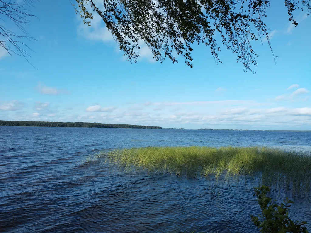 Дом на берегу протоки, ведущей в Вышневолоцкое водохранилище