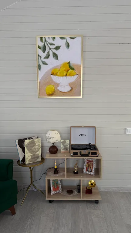 Винтажный - дом с виниловым проигрывателем