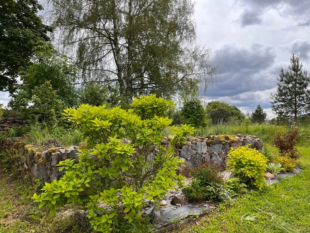 Гостевой домик на хуторе Керино