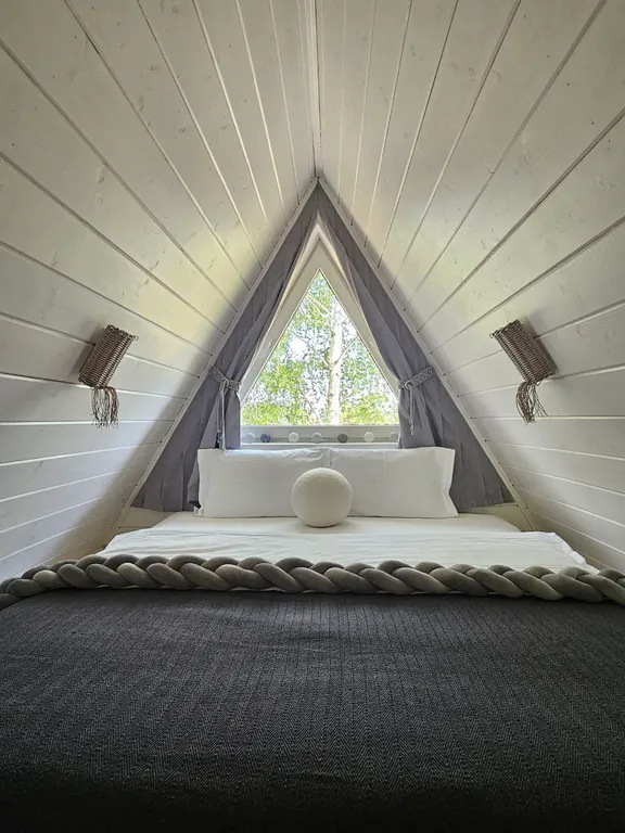 Красивые панорамные домики около леса