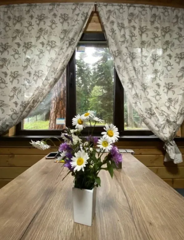 Коттедж Дом с видом на горы Александрия — Архыз