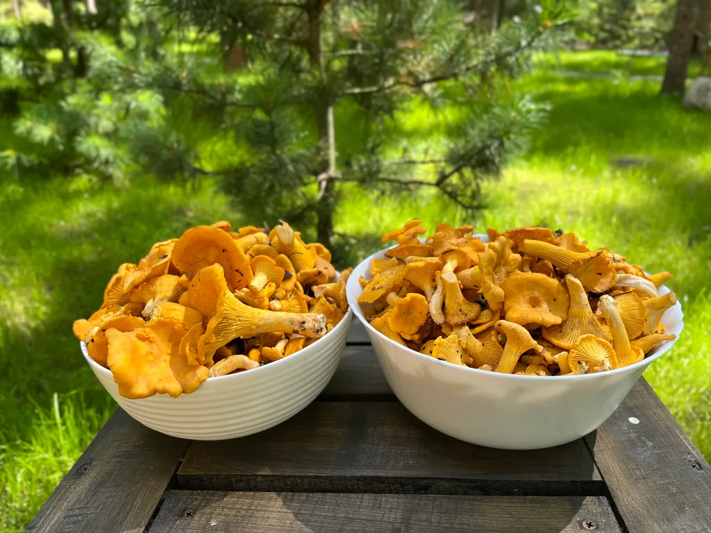 Коттедж Коттедж на озере Волго на Селигере в сосновом бору — Турбаза Чайка