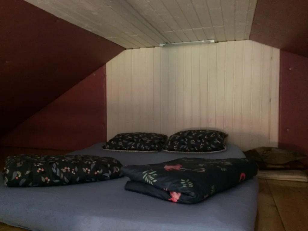 Загородный дом в лесу на Финском заливе