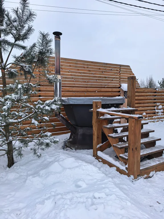 Домик для пар, чаном на дровах и видом на березовый лес в МО.