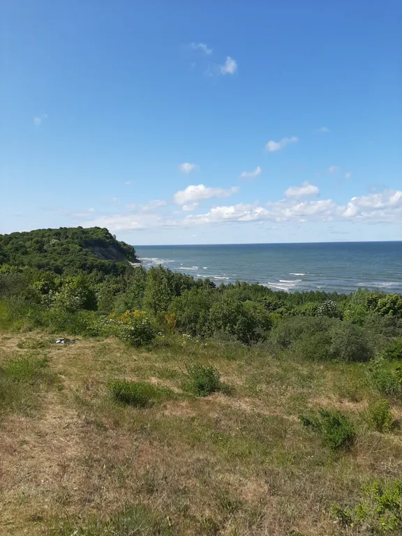 Квартира Стильные апартаменты на первой линии Балтийского моря — Пионерский