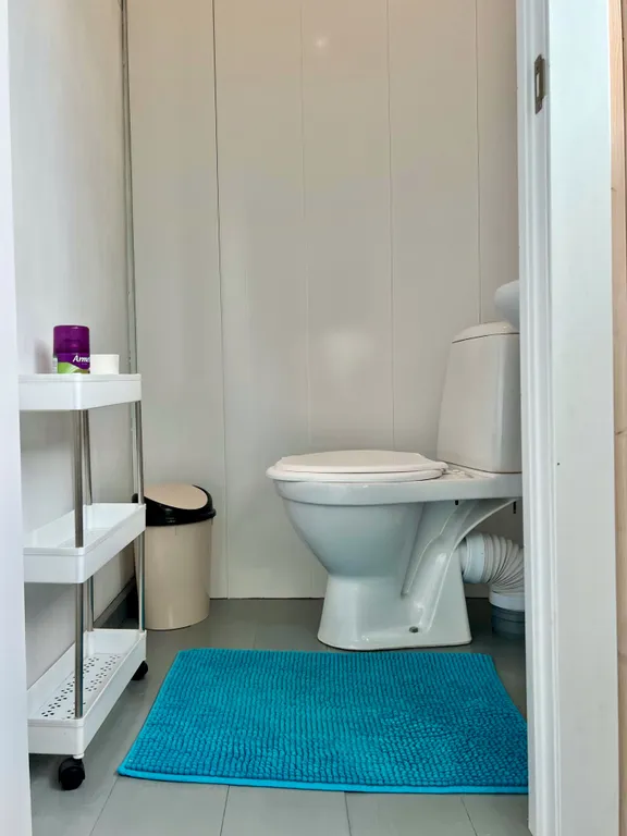 Домик на берегу Катуни, первая линия