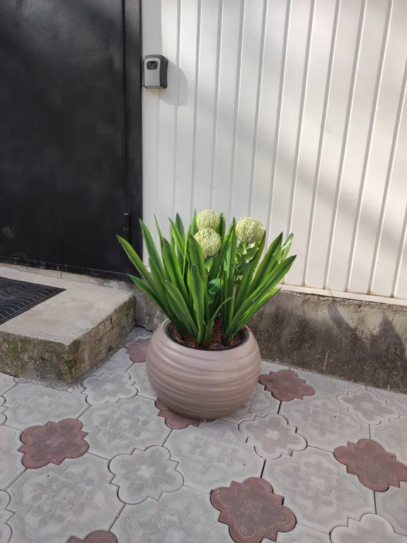 Квартира близко к парку