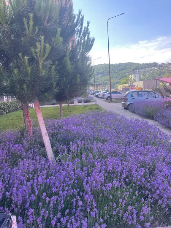 Квартира Уютная квартира с видом на горы — Лазаревское