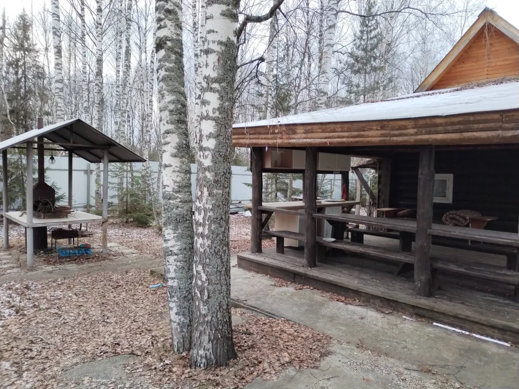 Большой коттедж в лесу