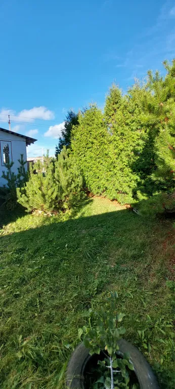 Дом Семен Семеныч