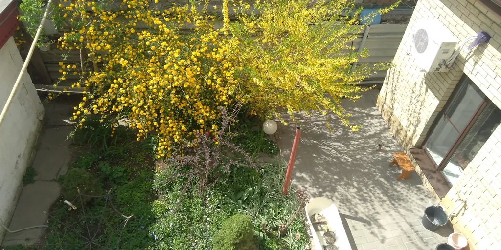 Уютное жилье недалеко от моря