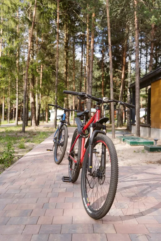 Дом меркуриал