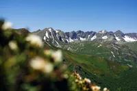 Шамиль
