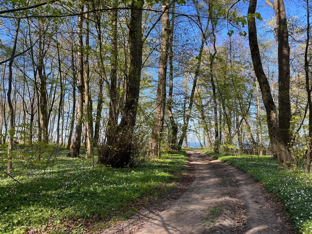 Уютный таунхаус у моря