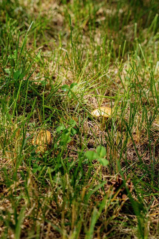 Уникальная локация-отдельный этаж из 3 комнат в спа-комплексе