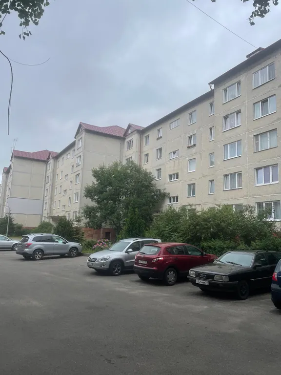 Квартира Уютная квартира вдали от городского шума — Светлогорск