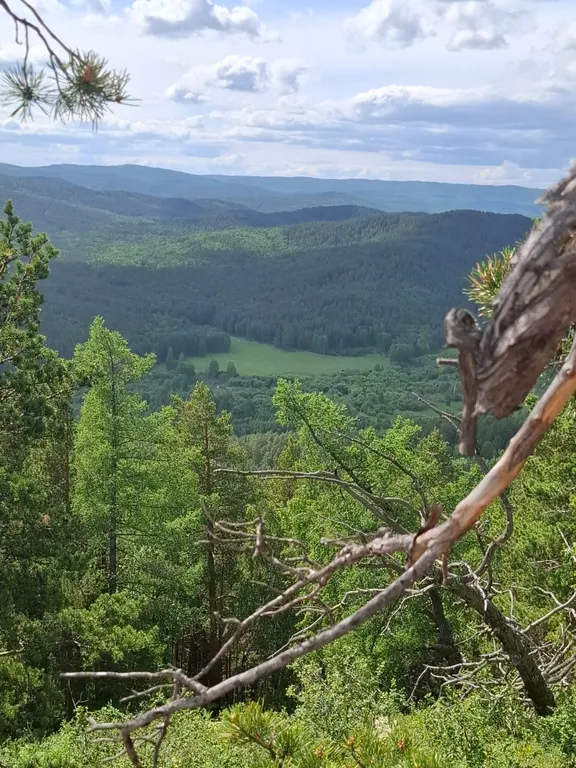 Дом в лесу с большой террасой