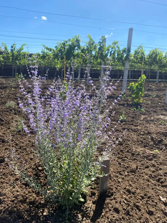 Уютный домик у моря