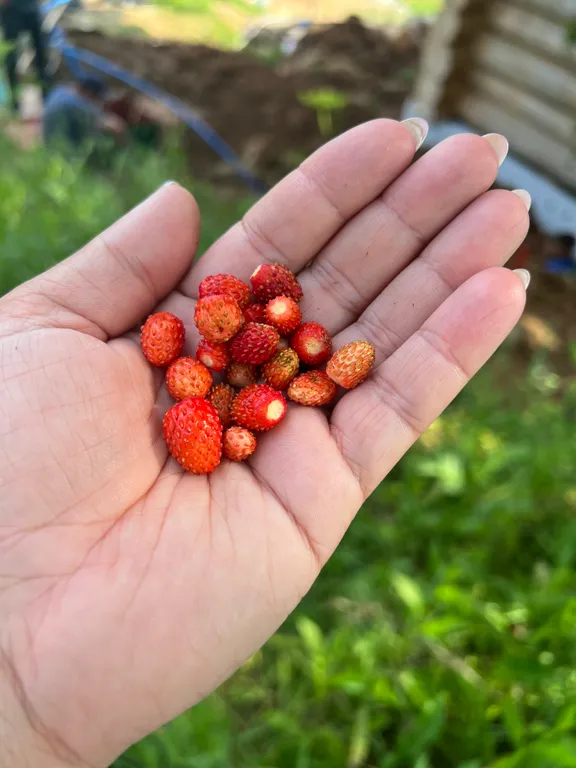 Уютный коттедж №1 у реки