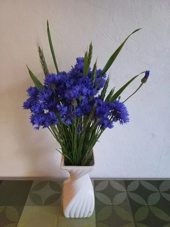 Квартира для отдыха на море