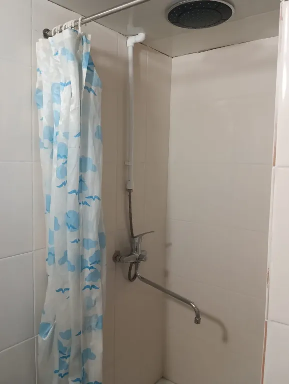 Деревенский дом с печью