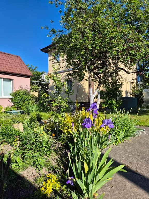 Коттедж Дом вашей мечты у моря — Сокольники