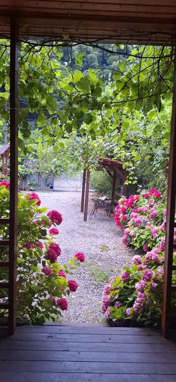 Коттедж Коттедж Quest hause Ahan — Гагра