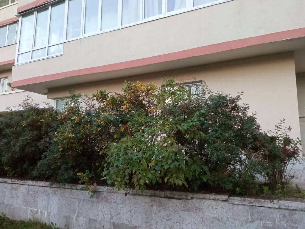 Квартира рядом с пляжем Северный