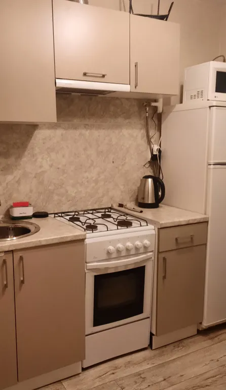 Квартира Уютная квартира недалеко от центра ждет своих гостей — Ярославль