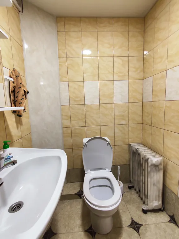 Шикарный дом с сауной и бильярдом.