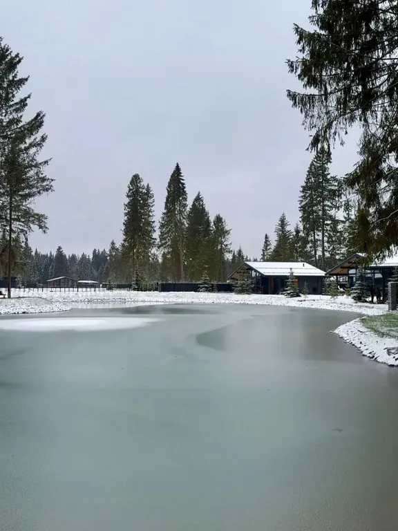 Премиальный дом с видом на лес и пруд в поселке года Ели estate