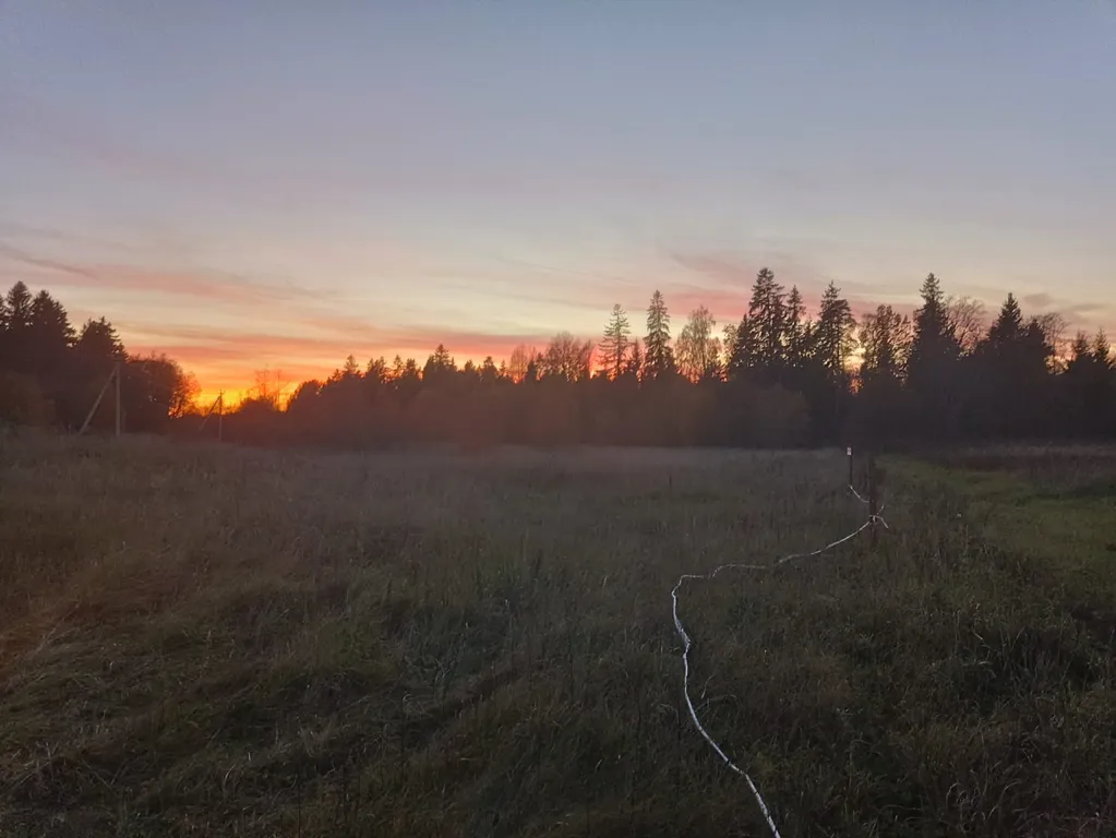Коттедж Загородный дом с видом на поле и лес — Санкт-Петербург
