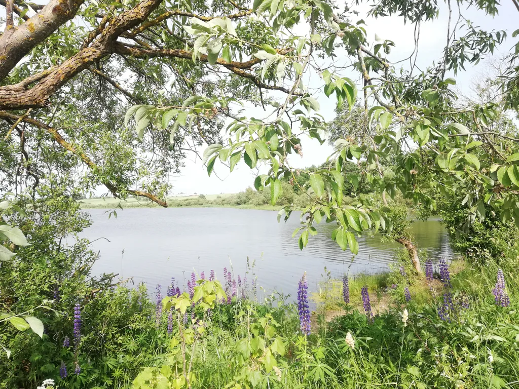 Домик в деревне