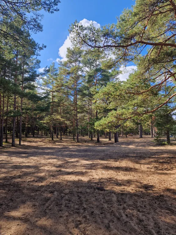 В гостях в Лебяжье