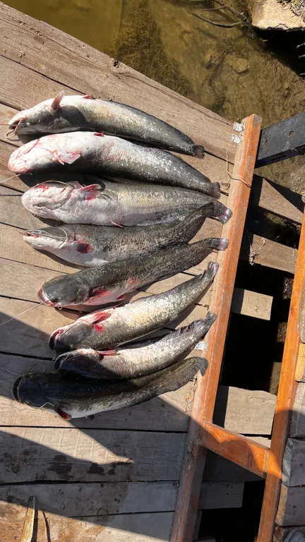 Уютный домик для рыбалки