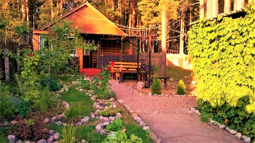 Коттедж Дом в турбазе Чайка, у озера в сосновом бору - Селигерский край — Турбаза Чайка