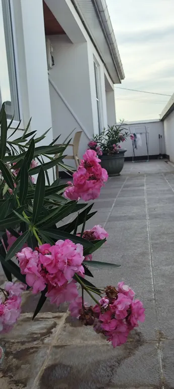 Дома у моря Аквамарин